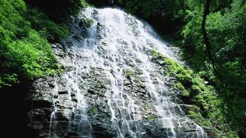 可靠性环保