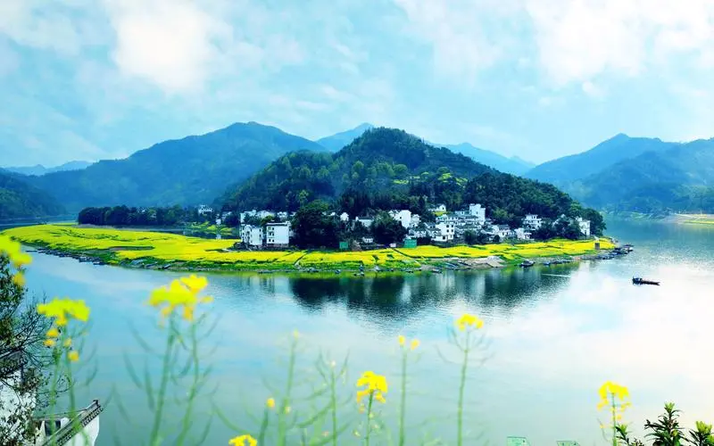绿色高端